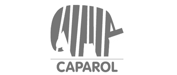 carapol_logo-1.png